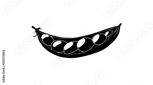A black and white stylized illustration depicts a curved open pod with several round seeds inside