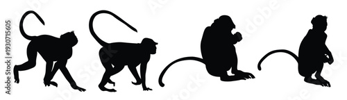 set of black silhouettes of monkeys