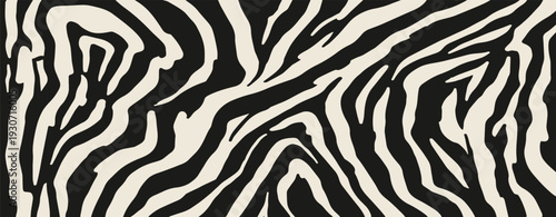 Vector trendy zebra fur print. Animal fur, vector background for Fabric design, wrapping paper, textile and wallpaper. Exotic wild animalistic skin texture