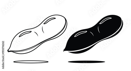 Two peanuts depicted with contrasting tones a striking silhouette