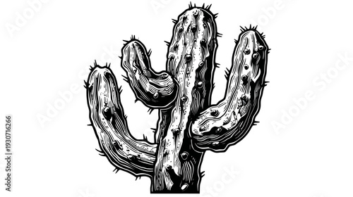 Detailed illustration of a spiky cactus with multiple arms, rendered in a bold, black and white style