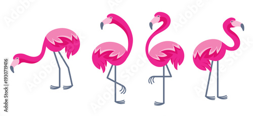 set of pink flamingos standing in different poses colorful 