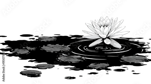 A grayscale illustration of a water lily and lily pads floating on a dark, reflective surface