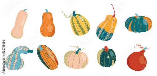  vector set of various pumpkins on a white background autumn