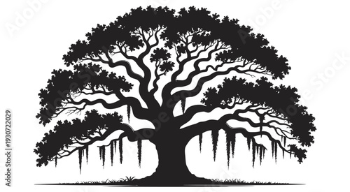 Live Oak Tree Silhouette Vector, Southern Oak with Spanish Moss, Isolated White Background, Nature Illustration, Landscape and Botanical Artwork