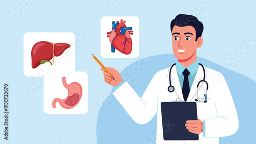 Male doctor in a white coat points with a pencil to icons of a liver, stomach, and heart while holding a clipboard for medical analysis.
