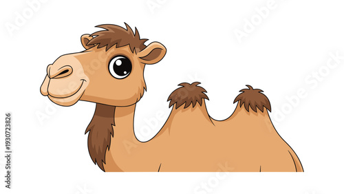 Friendly brown camel with large humps and a happy facial expression isolated on a plain white background for design.