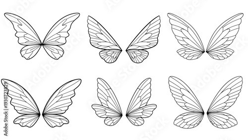 Collection of six different detailed butterfly and fairy wing sets presented in black and white line art sketches.