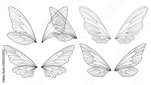 Set of four different detailed transparent insect or butterfly wings in black and white line art drawings on white.
