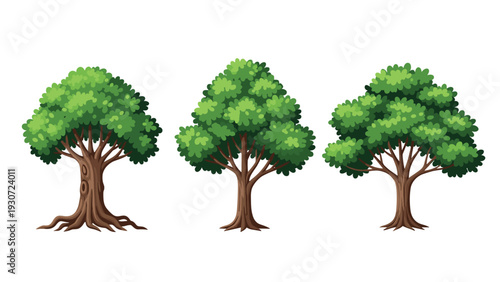 Three different types of lush green trees with thick trunks are shown in a row, representing a variety of forest vegetation.