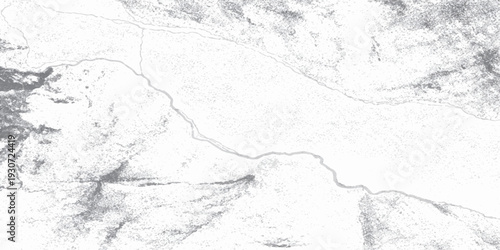 Abstract Landscape of River and Terrain: A monochrome aerial perspective, showcasing the natural texture of a river carving through the landscape.