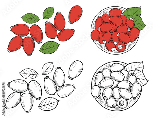 Rosehip berries and leaves on transparent background. Healthy fruit and vitamin c.