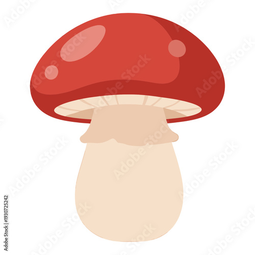 Red Mushroom Vector Icon