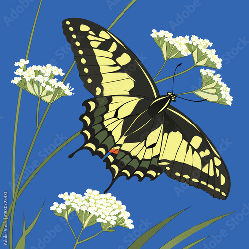 Adobe Illustrator Artwork