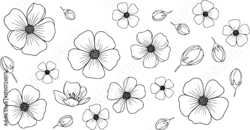 Delicate black and white line floral pattern with blooming flowers and buds botanical