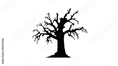 A silhouette of a leafless tree stands against a white background, black trunk and branches