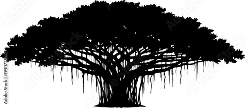 A majestic baobab tree standing tall against a clear sky with its wide canopy.