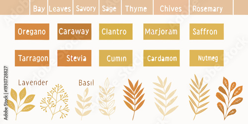 A colorful grid displaying various herbs and their corresponding illustrations