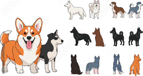 Diverse, dog, breeds, illustration, set, featuring, corgi, husky, and, various, puppies, in, different, poses, isolated, on, white, background, pet, care, animal, collection
