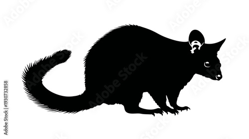 A black silhouetted opossum, with a long, curved tail and a focused expression