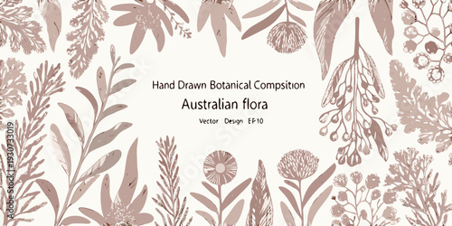 Hand drawn botanical illustration of australian flora and foliage details