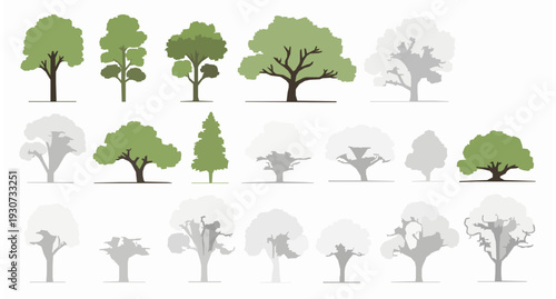 Photos Tree elevation vector set with botanical landscape elements and architectural tr