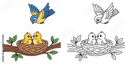 Vector illustration of cute mother bird flying to nest with two baby chicks on a tree branch, color and black outline versions for kids coloring book page