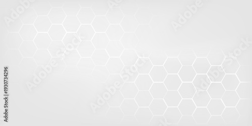 Abstract white and grey hexagonal pattern background design. Modern simple overlapping hexagon geometric element with molecular structures. Medical science technology concept