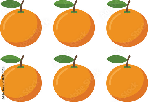 Fresh Orange Fruit Illustration Set with Whole Citrus Oranges and Green Leaves for Nutrition and Packaging Design