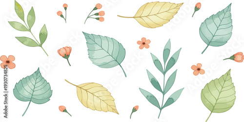 Collection of colorful leaves and small flowers on white background