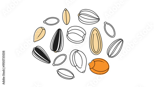 Simple graphic illustration displays a variety of seeds and grains including sunflower seeds in a clean line style.