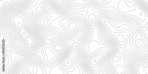 Abstract Minimal White Topographic Map Background with Subtle Gray Contour Lines and Smooth Elevation Curves, Geographic Terrain Pattern for Modern Design and Cartography.