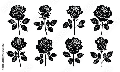 Eight black roses with stems and leaves on white background