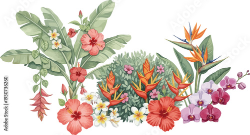 Vibrant tropical flowers and leaves on white background