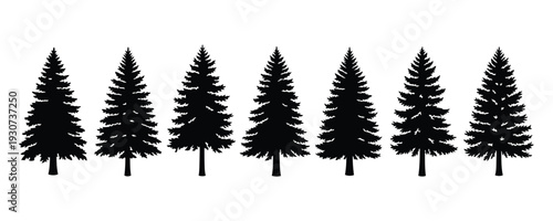 Seven black silhouettes of evergreen trees on white background