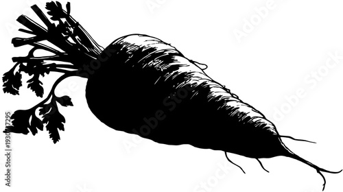 A grayscale, silhouette depiction of a carrot with its green leafy top. The focus is on the vegetable