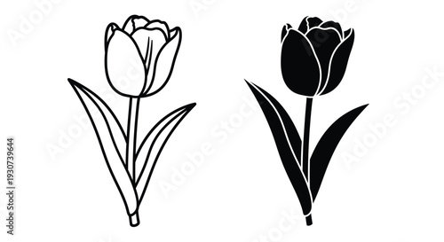 Two tulips displayed one line art and one dark silhouette