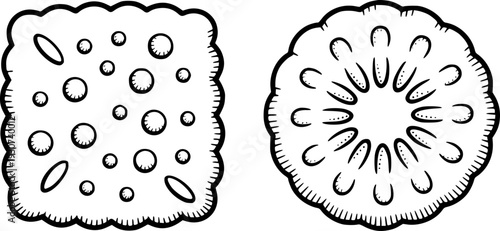 Hand Drawn Biscuits Square With Holes Round With Slices cookie food