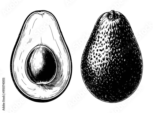 Detailed black and white of a whole avocado and a halved avocado with pit fruit food