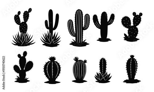 Collection of various cactus silhouettes on white background