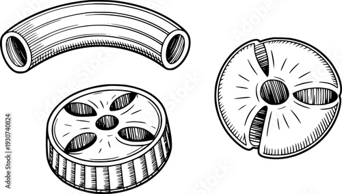 Hand drawn of different pasta shapes rigatoni and types of rotelle white background
