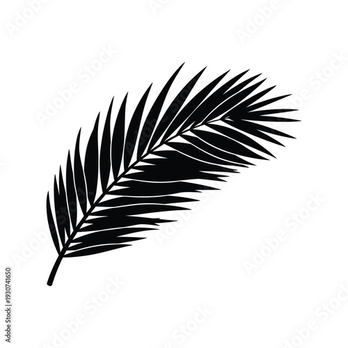 Palm Leaf Vector Silhouette Isolated Black Tropical Botanical Clipart Design