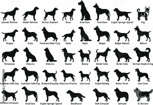 Dog breed silhouettes arranged in grid format Labrador Retriever Golden Retriever German Shepherd Boxer Great Dane comparison identification illustration flat vector