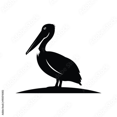 Pelican silhouette vector illustration isolated on white background for logo and design use
