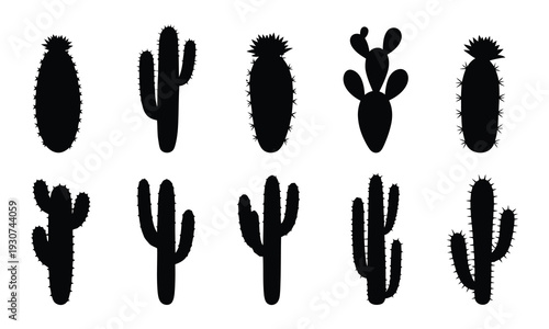 Collection of diverse cactus silhouettes on a white background