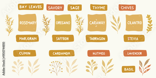 An illustrated collection of various herbs and spices with labels