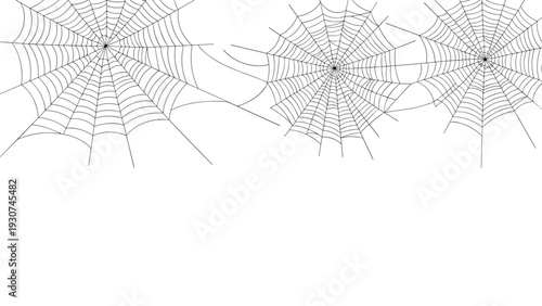Three delicate spider webs are arranged across the top of a white background in a clean and minimal illustration.