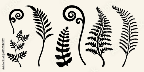 Black silhouettes of various fern fronds and spiraling plant elements