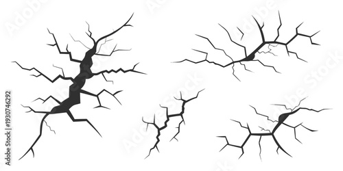 Abstract black and white illustration of four different tree branches