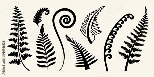 Stylized collection of various fern fronds and curled fiddleheads